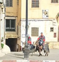 Fes Medina