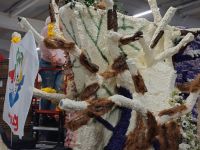 ... Vorgabe und Realität ...