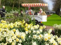 ... Leckereien überall ...