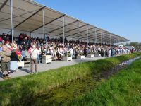 ... Tribüne an der Corso - Strecke ...