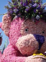 ... tausende Blüten als Dekoration ...