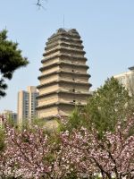 Kleine Wildganspagode, Xi'an