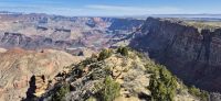 74 Blick auf Colorado River