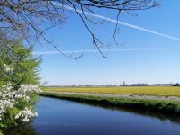 Blumenparadies Keukenhof
