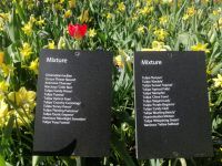 Blumenparadies Keukenhof