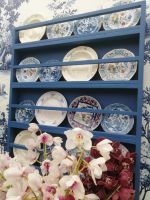 Blumenparadies Keukenhof - Pavillon Beatrix mit Orchideen