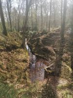 Schloß Rozendael - der Schloßpark