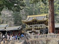 4. Tag: Ausflug nach Nikko – Tosho-gu-Schrein