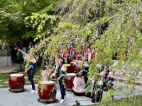 5. Tag: Über Kamakura zum Fuji – Hasedera-Tempel in Kamakura