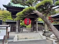 5. Tag: Über Kamakura zum Fuji – Hasedera-Tempel in Kamakura