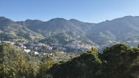 Morgenstimmung in Agros