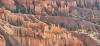 145 Bryce Canyon am Morgen