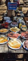 293 Picknick im Yosemite Nationalpark