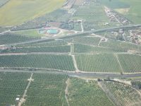 sizilianische Zitronen-und Orangenplantagen