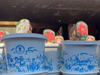 Diese wunderschönen Amaryllis werden uns bald blühen <3