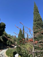 Spanien, Malaga, Botanischer Garten