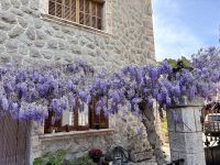 Valldemossa