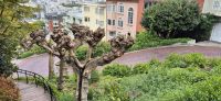 339 Lombard Street