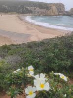 Bucht auf dem Weg nach Sagres