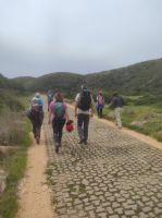 Pflasterweg Richtung Küste