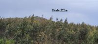 Gipfel Picota 737 m