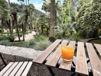 Jardin de Alfabia