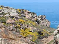 Crosnez Castle. Jersey 