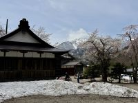 7. Tag: Ausflug nach Shirikawago – Hachiman-Schrein