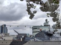 Kirschblüte mit HMS Belfast