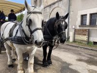 Blois mit zwei PS