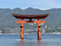 9. Tag: Hiroshima – Itsukushima-Schrein auf Miyajima