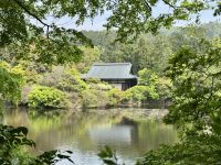 10. Tag: Erkundung von Kyoto – Gartenanlage im Ryoan-ji-Tempel