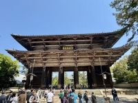 11. Tag: Ausflug nach Nara – Todai-ji-Tempel mit größtem sitzenden Bronze-Buddha