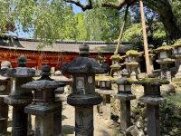 11. Tag: Ausflug nach Nara – Kasuga-Schrein mit vielen Laternen