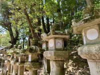 11. Tag: Ausflug nach Nara – Kasuga-Schrein mit vielen Laternen