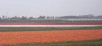 Zugfahrt nach Medemblik