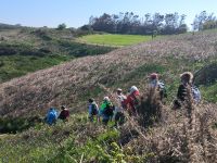 Jersey Küstenwanderung
