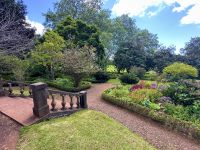 Madeira - Blandy`s Garten