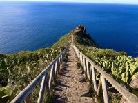 Madeira - Christus Statue