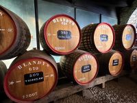 Madeira - Blandy`s Weinkeller