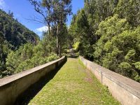 Madeira - Wanderung nach Monte