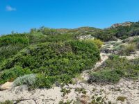 Insel La Maddalena - Bassa Trinita-Strand