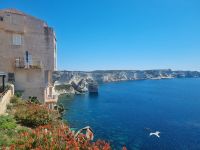 Bonifacio 