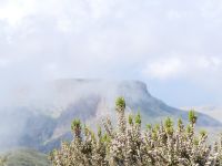 Erika vor dem Fortaleza (im Calima)