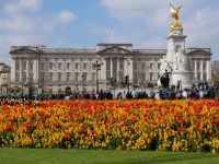 Buckingham Palace 