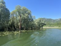 Während der Fahrt gibt es regionale Köstlichkeiten 