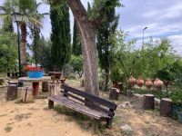 Spanien, Olivenölplantage Basilippo