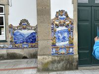 IMG_8248.jpeg