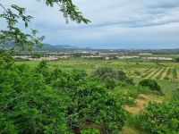 Balagne - Weingut Orsini