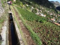 Levada Wanderung - Gemüsefeld